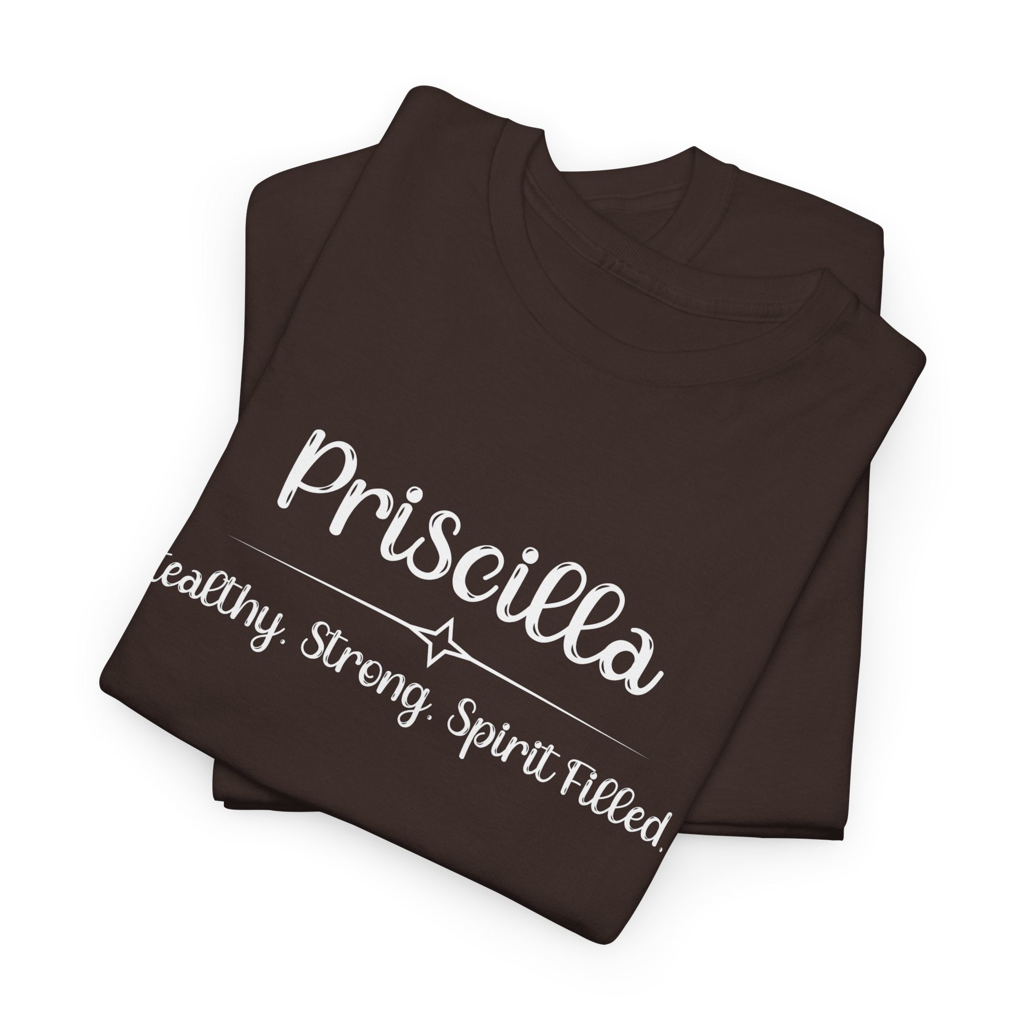Priscilla Shirt – Stealthy, Strong, Spirit-Filled – Christian T-Shirt – Women of the Bible – Faith Apparel